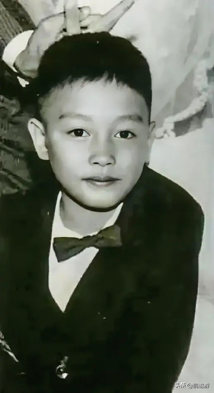 向太爆料张国荣死前电话_张国荣 失踪22年真相_香港娱乐圈黑张国荣